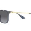 Ray-Ban Chris RB4187 Grå