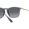 Ray-Ban Chris RB4187 Grå