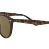 Ray-Ban RB4305 710/73