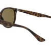 Ray-Ban RB4305 710/73