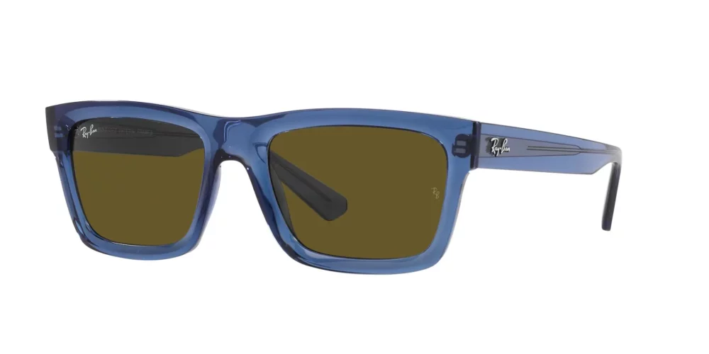 Ray-Ban Warren RB4396