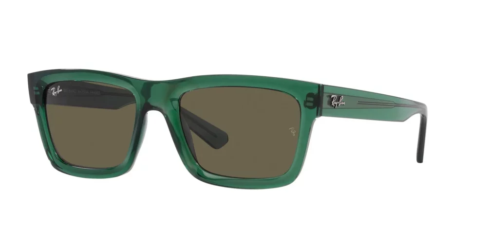 Ray-Ban Warren RB4396