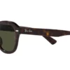 Ray-Ban Erik RB4398