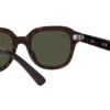 Ray-Ban Erik RB4398