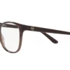 Ralph Lauren  RL6222 Shiny Transparent Brick Red Frame