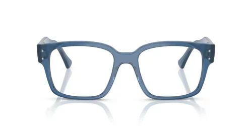 8429 - Transparent Blue frame / Clear lenses