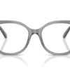 Swarovski  Cadre gris transparent SK2055 EyeWearThese