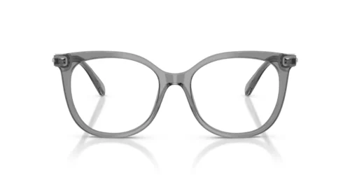 Swarovski  SK2055 Transparent Grey Frame at EyeWearThese