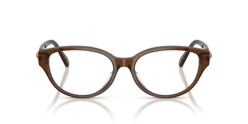 Swarovski  SK2058D Transparent Brown Frame at EyeWearThese