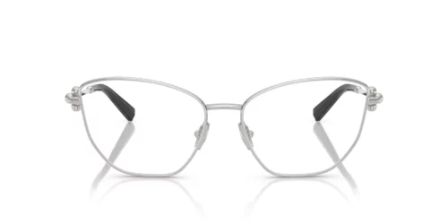6001 - Silver frame / Clear lenses