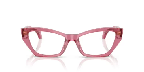 5516 - Transparent Pink frame / Clear lenses