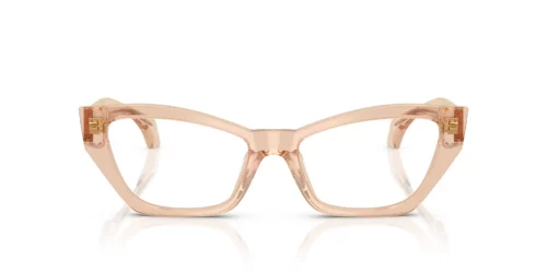 5518 - Transparent Light Brown frame / Clear lenses