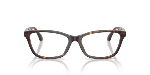 108 - Dark Havana frame / Clear lenses