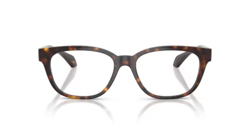 108 - Havana frame / Clear lenses