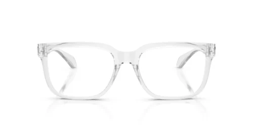 5510 - Light Grey Transparent frame / Clear lenses