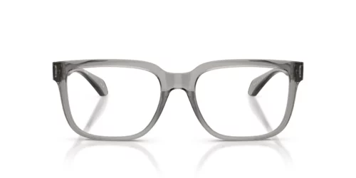 593 - Transparent Grey frame / Clear lenses