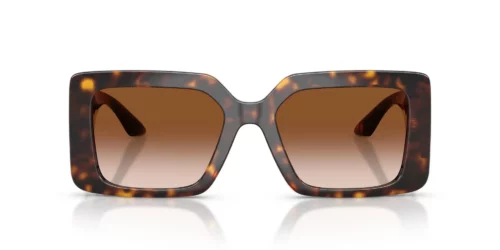 108/13 - Havana montuur / Bruine gradient glazen