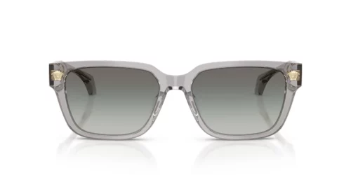 593/11 - Transparent Grey frame / Grey Gradient lenses