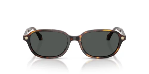553773 - Havana frame / Dark Brown lenses