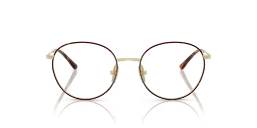 5213 - Top Havana/Light Gold frame / Clear lenses