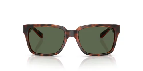 271871 - Total Dark Havana frame / DARK GREEN lenses