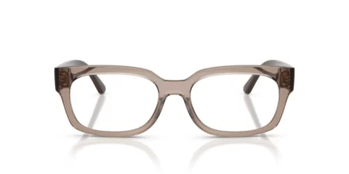 2940 - Transparent Brown frame / Clear lenses