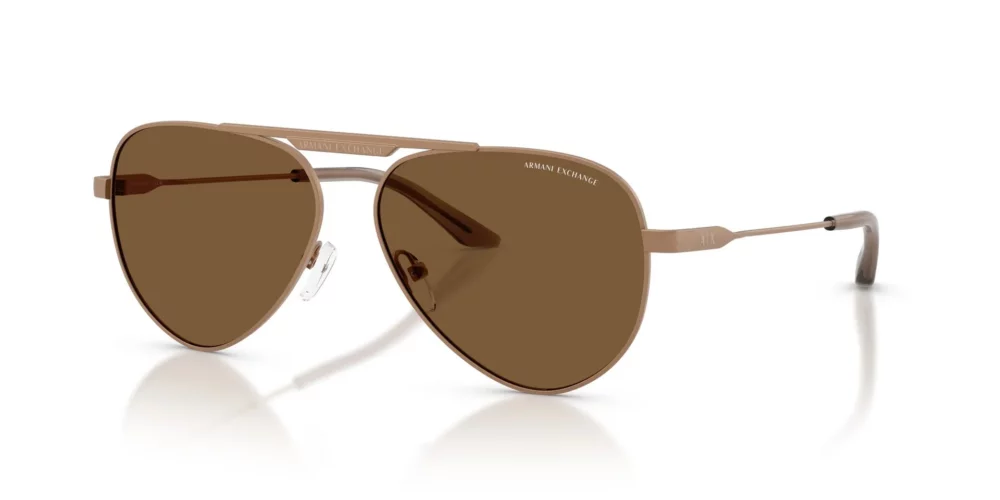 Armani Exchange  AX2060S Brown