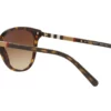 Burberry  BE4216 Brown Gradient