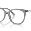 Swarovski  SK2055 Cadre gris transparent