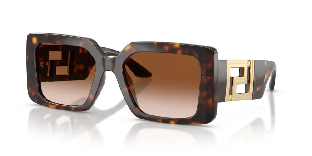 Versace  VE4505U Brown Gradient