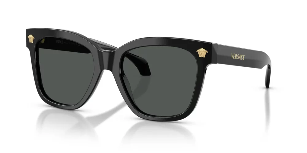 Versace VE4511 Gris oscuro
