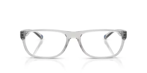 2858 - Transparent Light Grey frame / Clear lenses