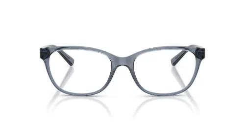 8410 - Shiny Transparent Blue frame / Clear lenses