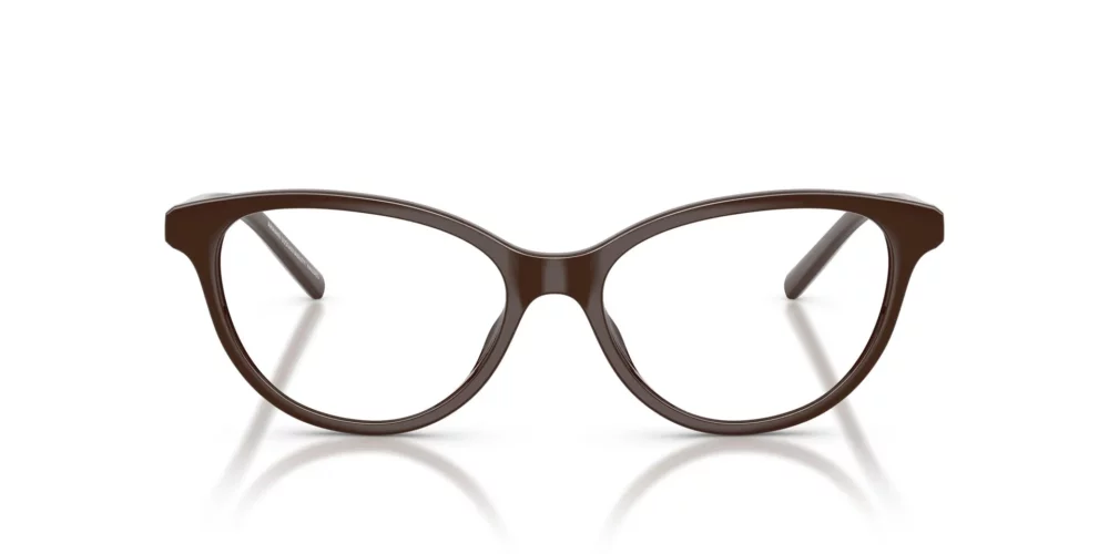 Stylish Brown Eyeglasses for Men and Women