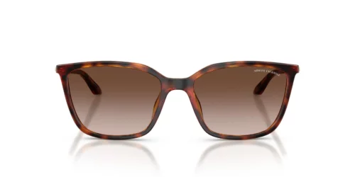 Armani Exchange  AX4171SU Brown Gradient