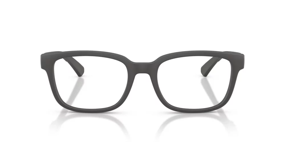 Burberry  BE2451U Matte Grey Frame