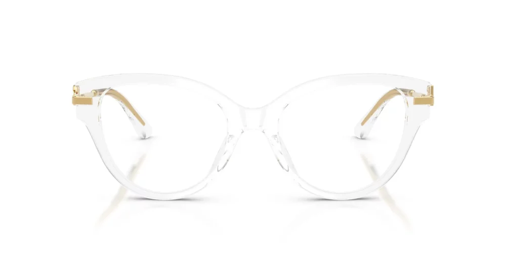 Monture en cristal Dolce & Gabbana DG3438