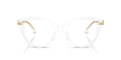 Dolce & Gabbana DG3438 křišťálový rám