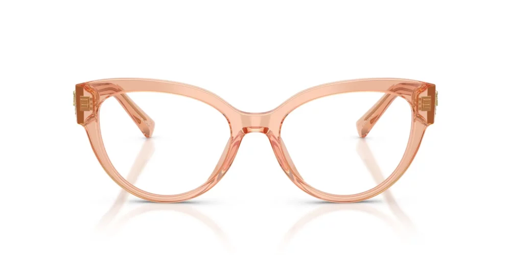 Dolce & Gabbana  DG3440 Nude Transparent Frame