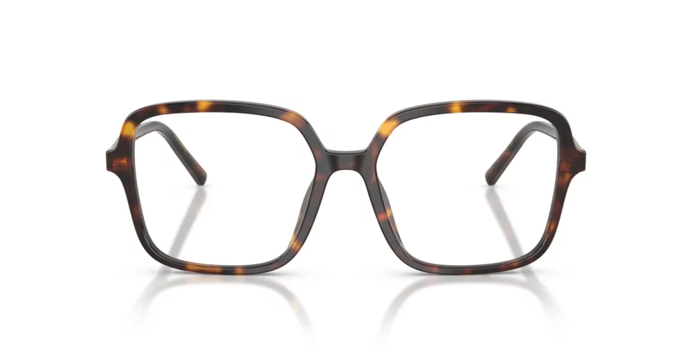 Dolce & Gabbana  DG3442 Havana Frame