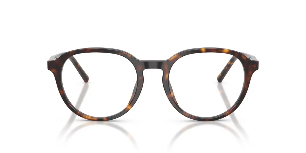 Dolce & Gabbana  DG3444 Havana Frame