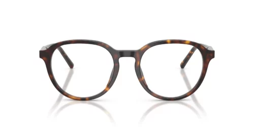 Dolce & Gabbana DG3444 Havana-frame