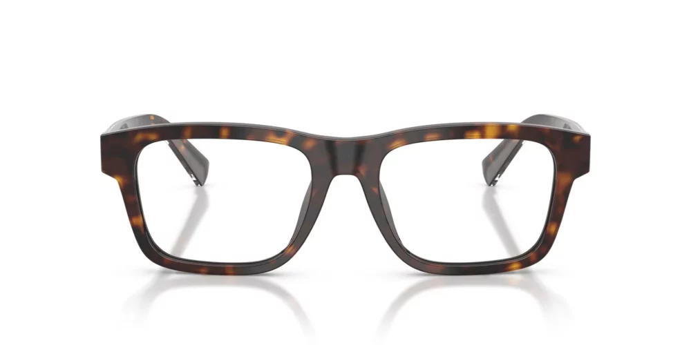 Dolce & Gabbana DG3446 Armação Havana