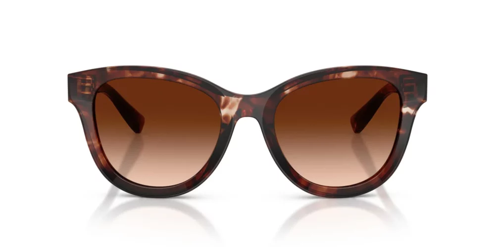 Dolce & Gabbana DG4533 Marrom Degradê