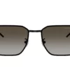 Emporio Armani  EA2172D Grey Gradient Brown