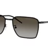 Emporio Armani  EA2172D Grey Gradient Brown
