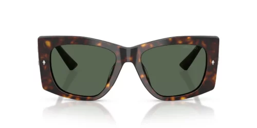 500271 - Havana frame / DARK GREEN lenses