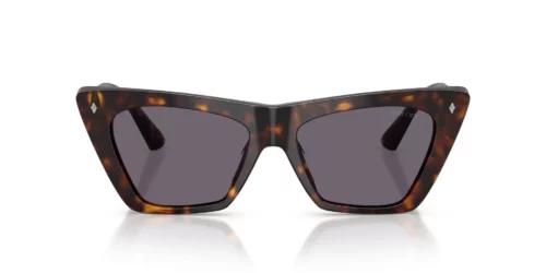 50021A - Havana frame / Violet lenses
