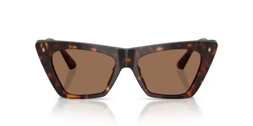 500273 - Havana frame / Dark Brown lenses