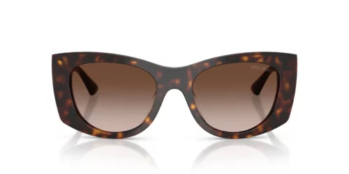 500213 - Havana frame / Brown Gradient lenses